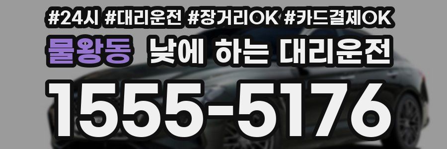 물왕동 낮에 하는 대리운전