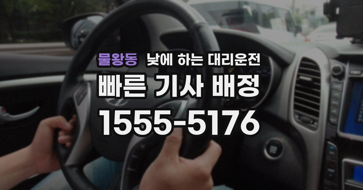 물왕동 낮에 하는 대리운전