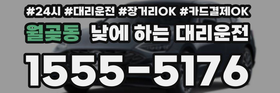 월곶동 낮에 하는 대리운전