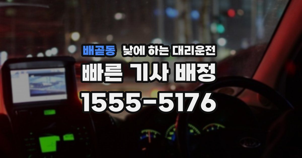 배곧동 낮에 하는 대리운전