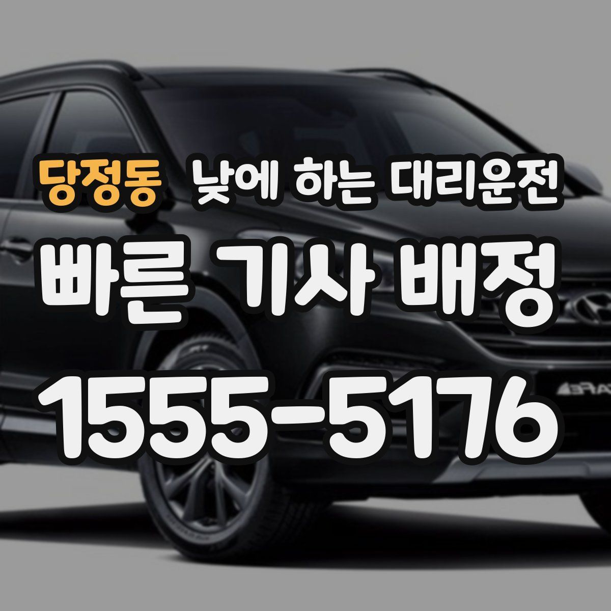 당정동 낮에 하는 대리운전