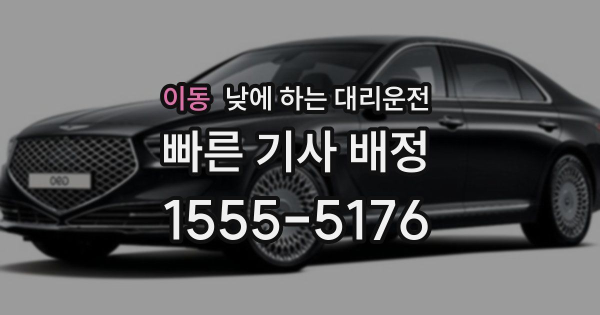 이동 낮에 하는 대리운전