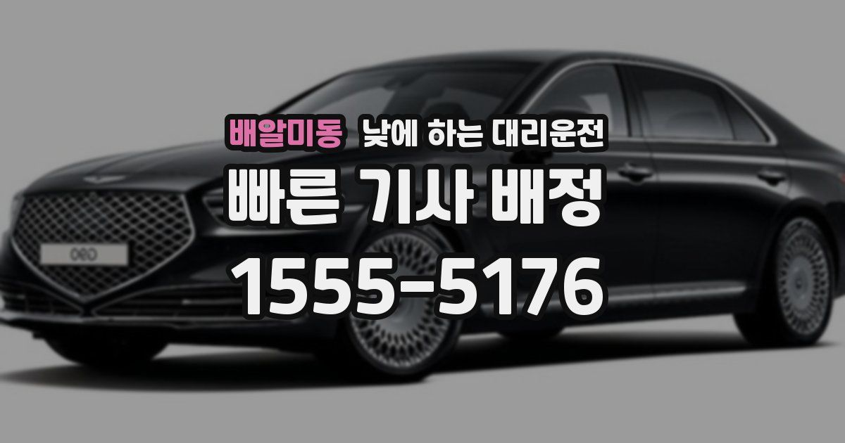 배알미동 낮에 하는 대리운전