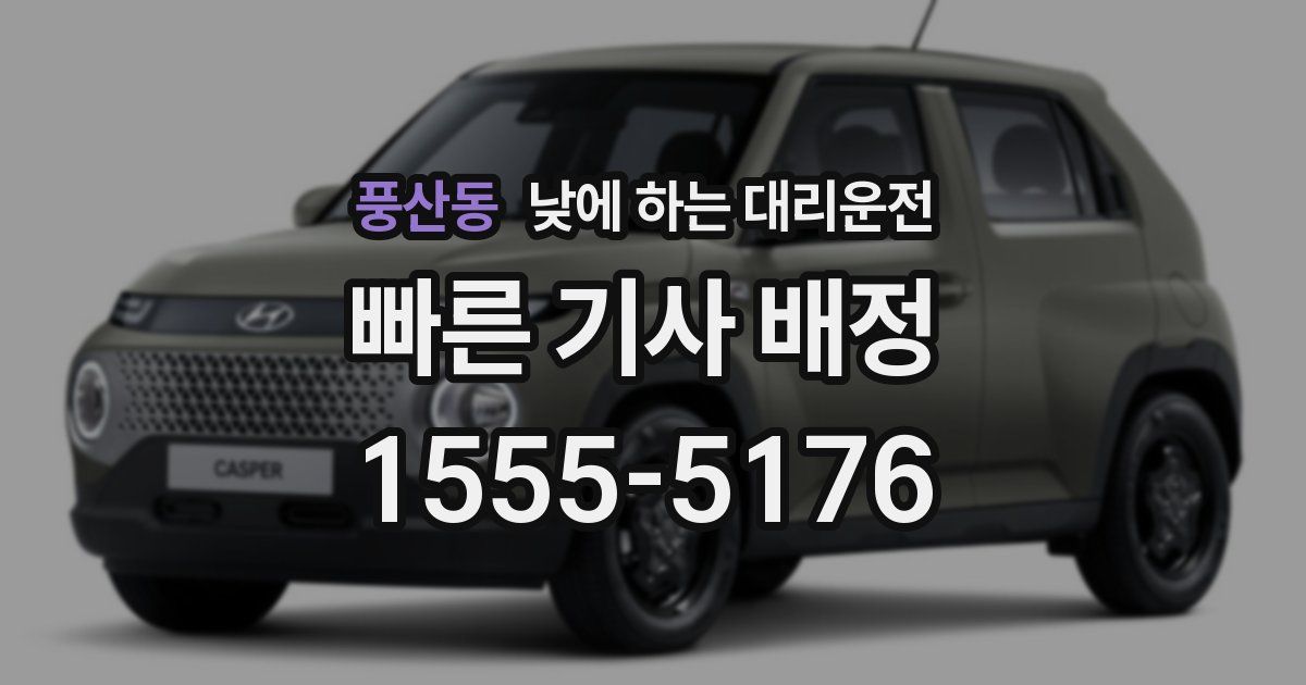 풍산동 낮에 하는 대리운전