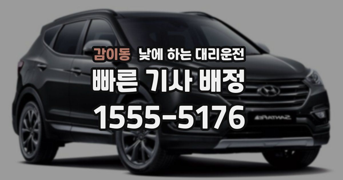 감이동 낮에 하는 대리운전