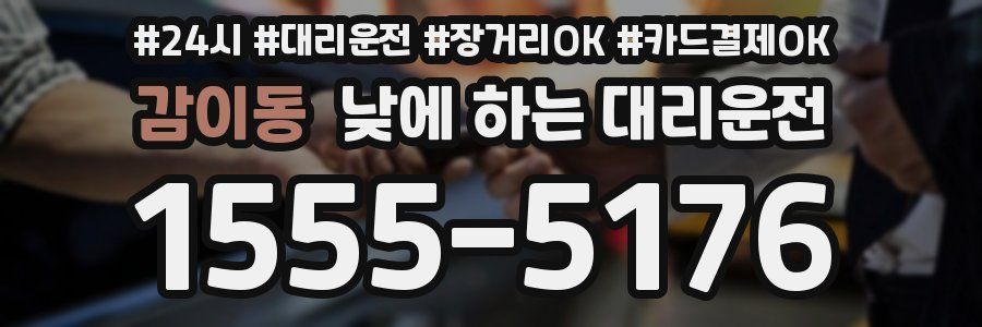 감이동 낮에 하는 대리운전