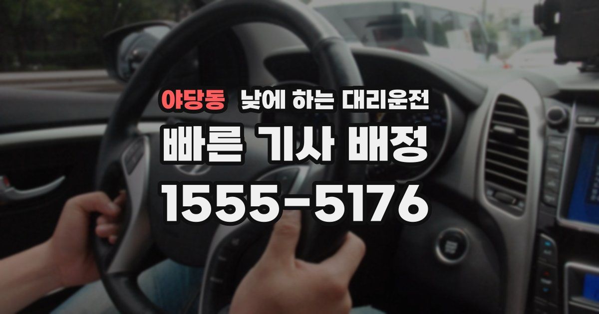 야당동 낮에 하는 대리운전
