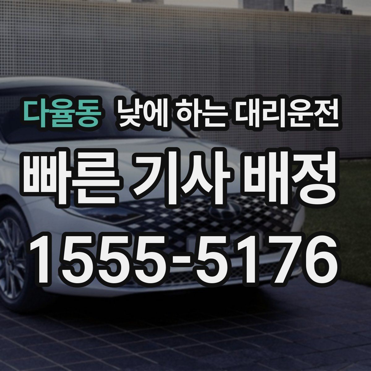 다율동 낮에 하는 대리운전 낮 비행기 탑승 전 이동을 여유롭게