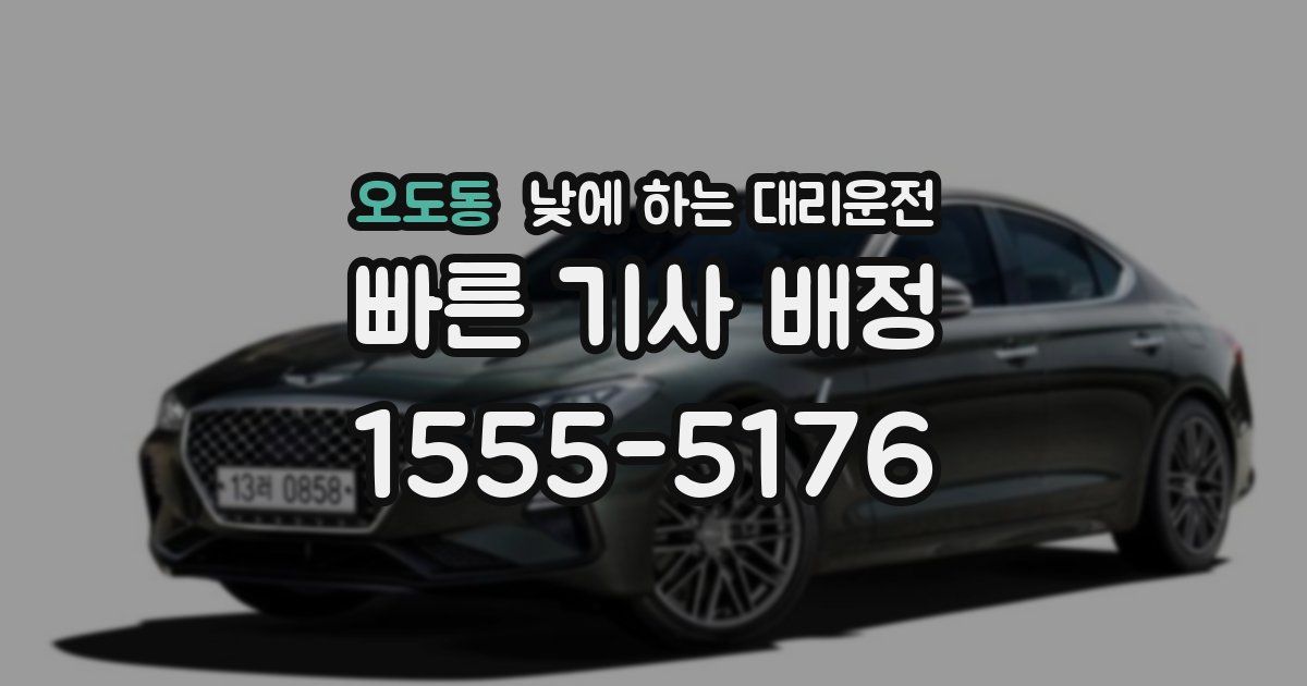 오도동 낮에 하는 대리운전