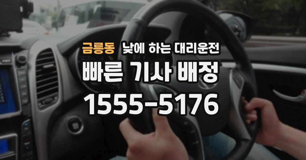 금릉동 낮에 하는 대리운전