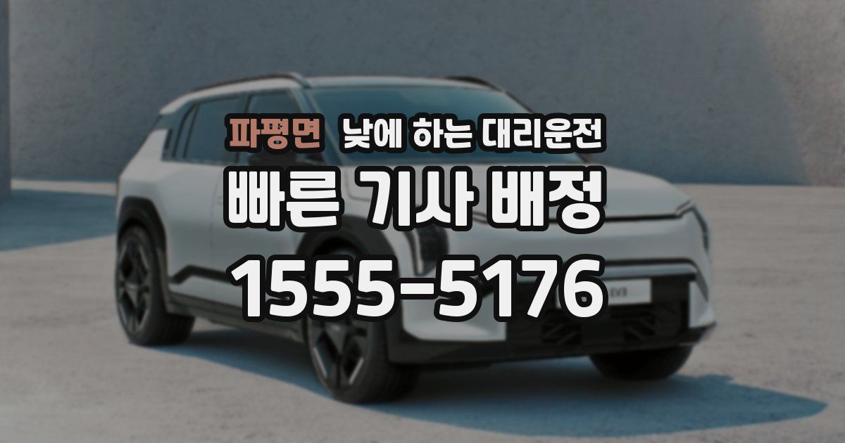 파평면 낮에 하는 대리운전