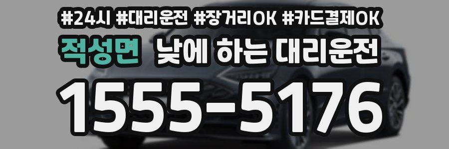 적성면 낮에 하는 대리운전
