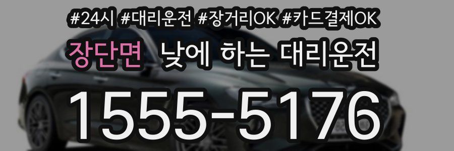 장단면 낮에 하는 대리운전