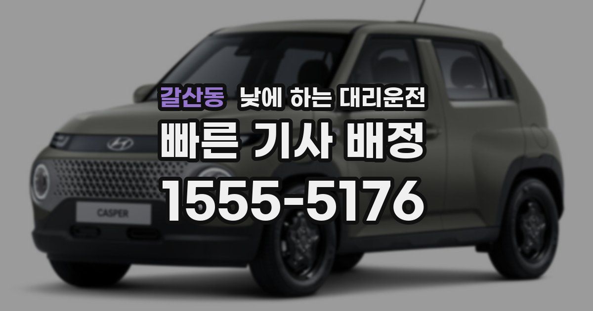 갈산동 낮에 하는 대리운전