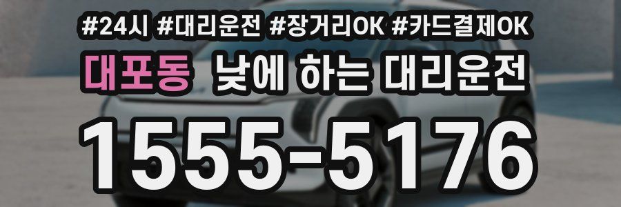 대포동 낮에 하는 대리운전