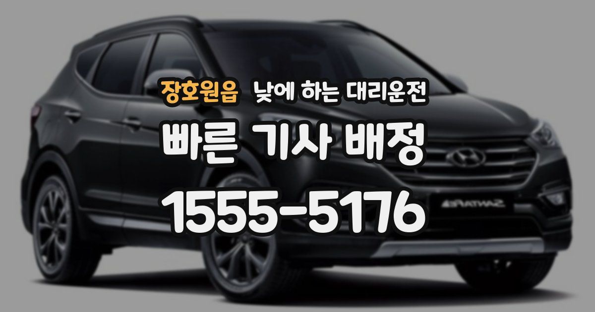 장호원읍 낮에 하는 대리운전