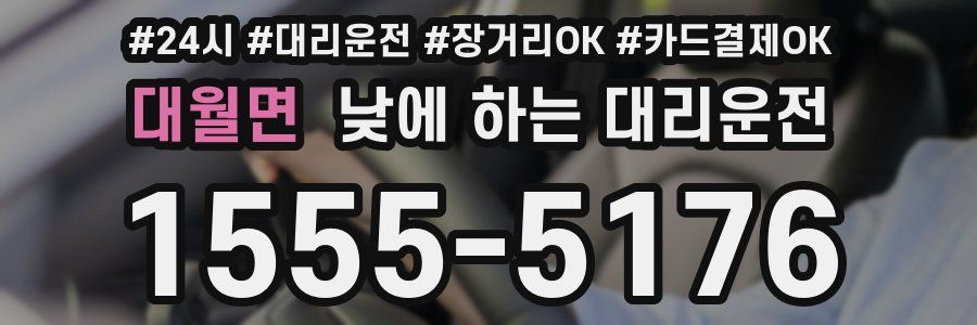 대월면 낮에 하는 대리운전