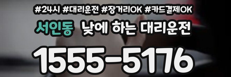 서인동 낮에 하는 대리운전