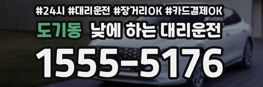 도기동 낮에 하는 대리운전