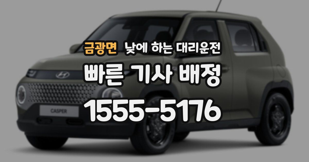 금광면 낮에 하는 대리운전