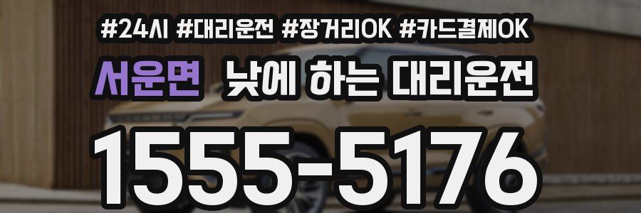 서운면 낮에 하는 대리운전