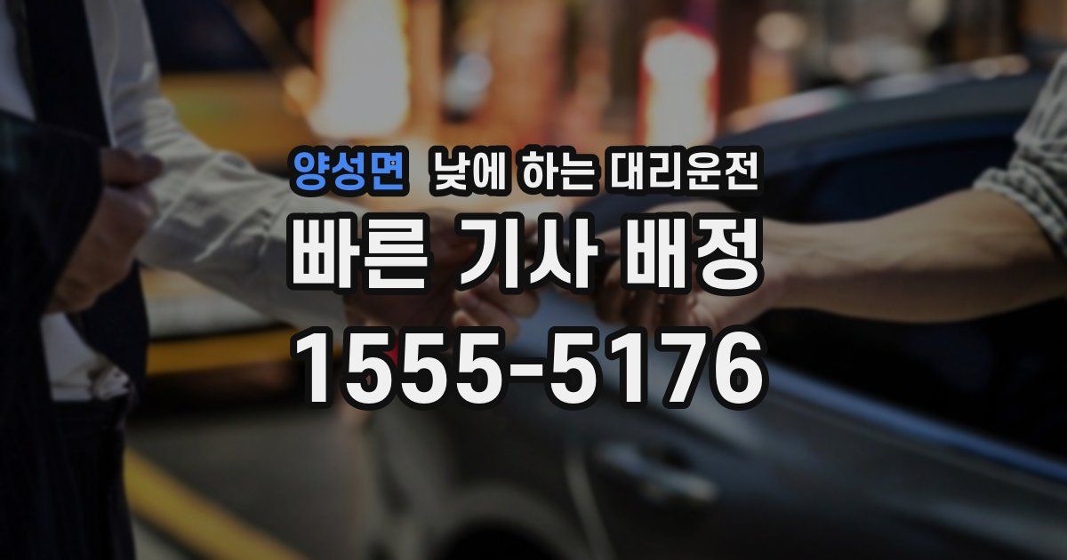양성면 낮에 하는 대리운전