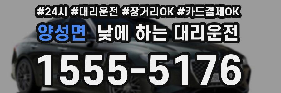 양성면 낮에 하는 대리운전