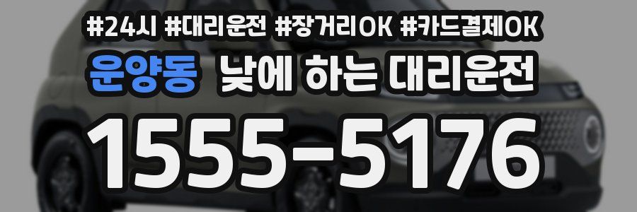 운양동 낮에 하는 대리운전