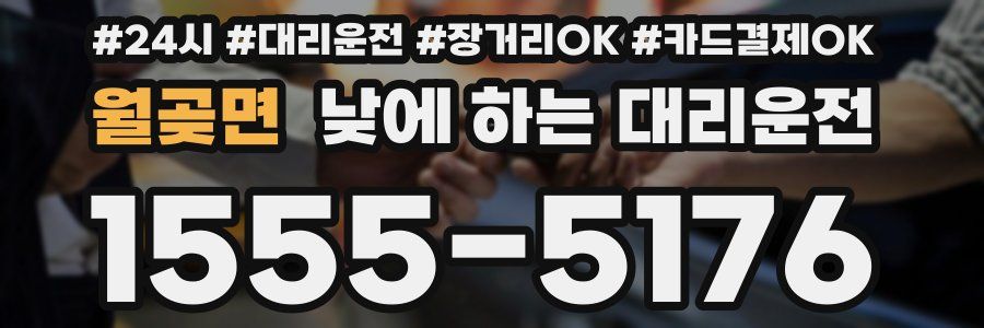 월곶면 낮에 하는 대리운전