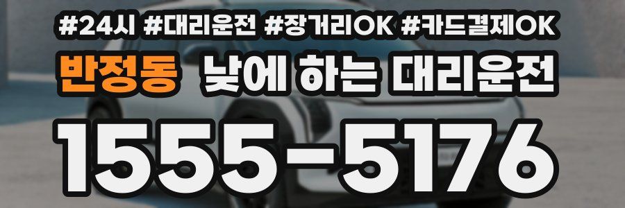 반정동 낮에 하는 대리운전