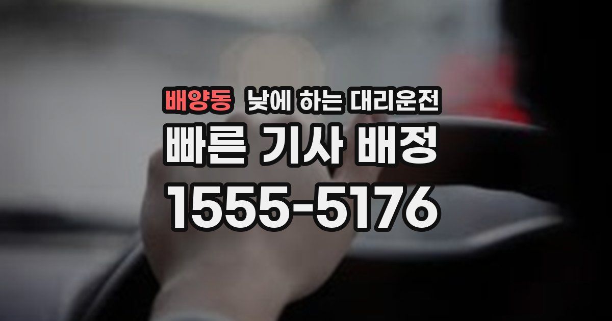 배양동 낮에 하는 대리운전