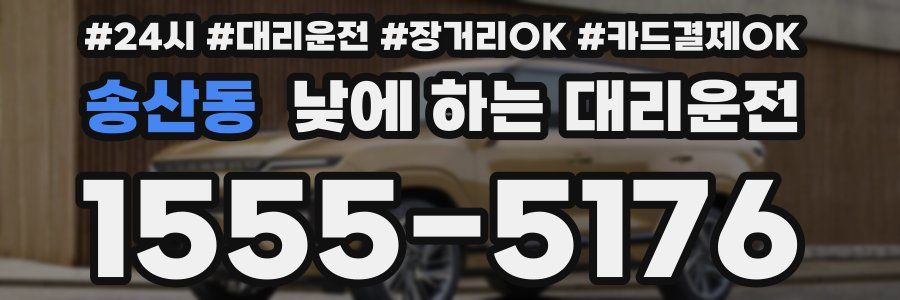 송산동 낮에 하는 대리운전