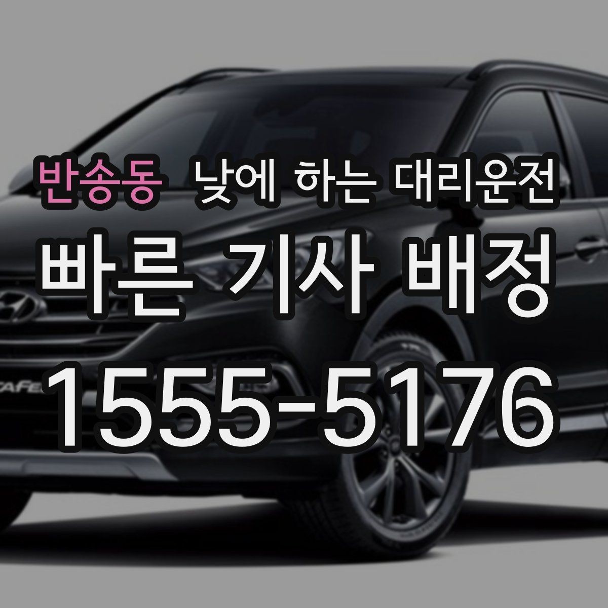 반송동 낮에 하는 대리운전 반려동물 동승이 있을 때 미리 안내하기