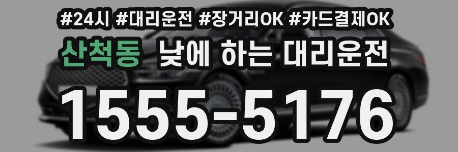 산척동 낮에 하는 대리운전