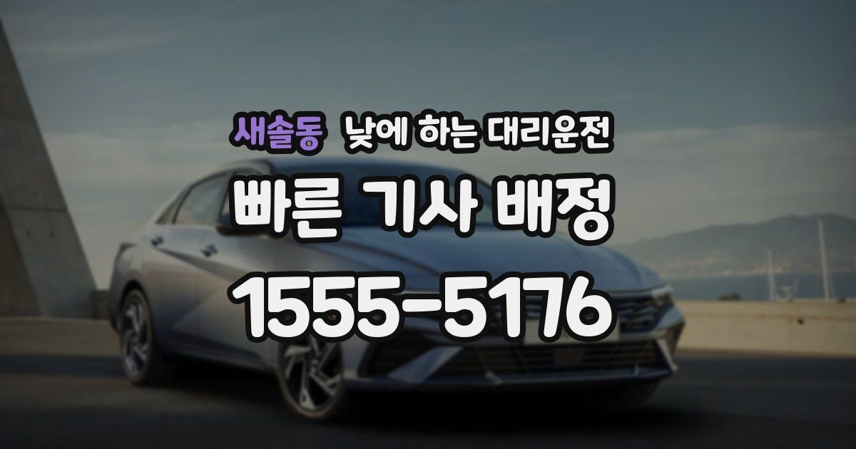 새솔동 낮에 하는 대리운전