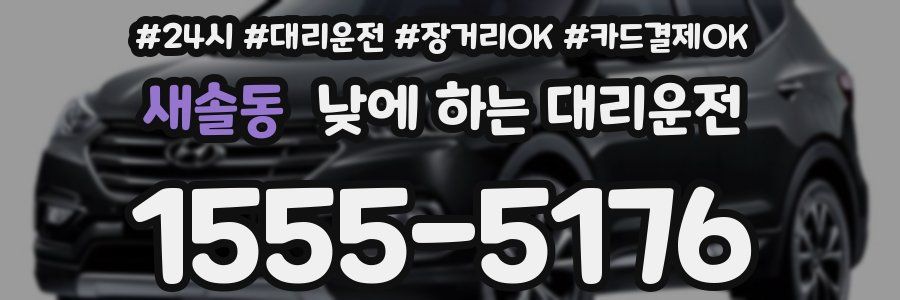 새솔동 낮에 하는 대리운전