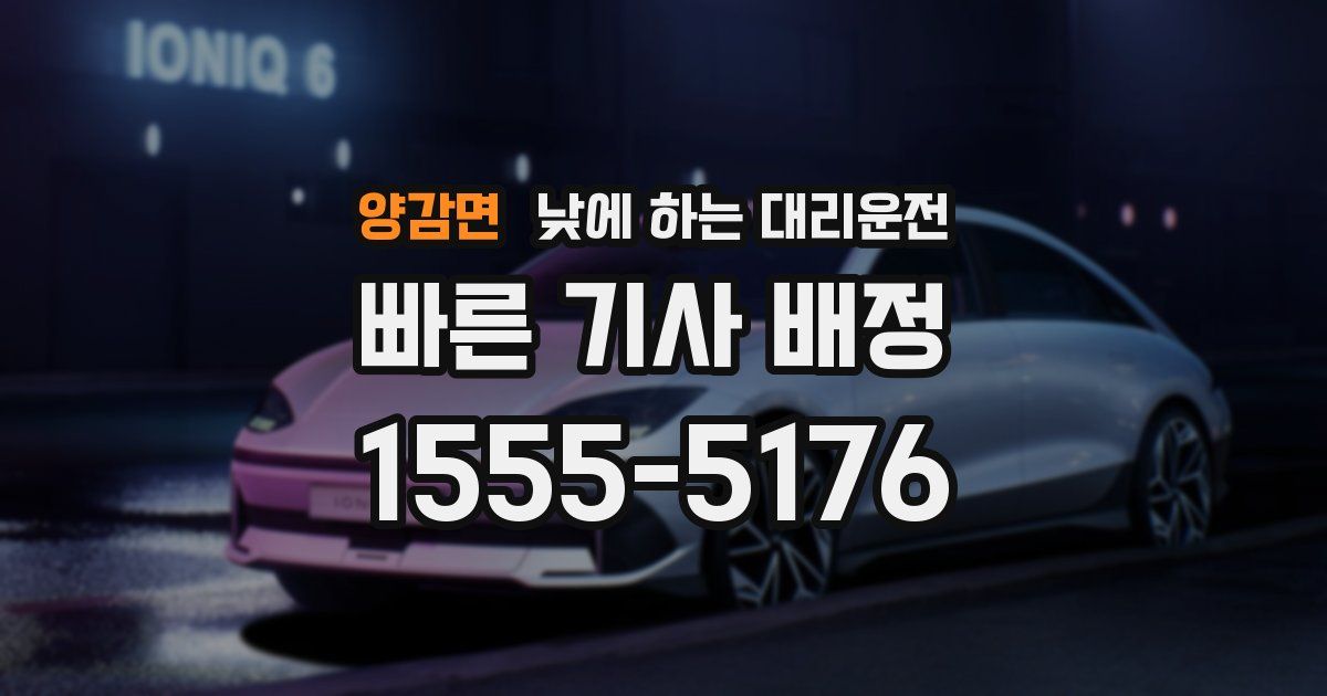 양감면 낮에 하는 대리운전