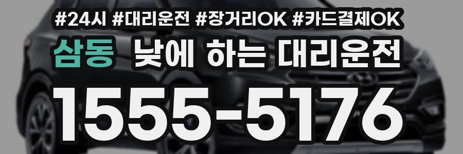 삼동 낮에 하는 대리운전