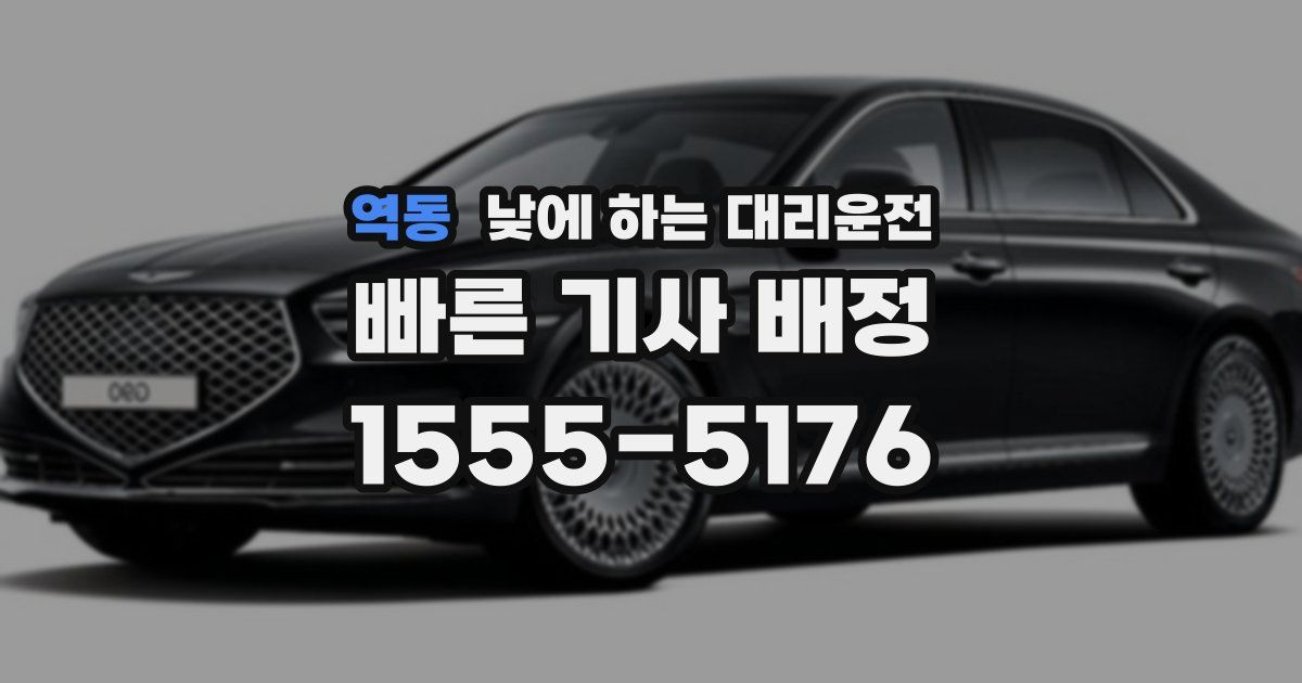 역동 낮에 하는 대리운전