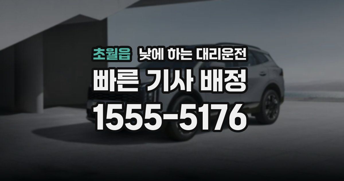 초월읍 낮에 하는 대리운전