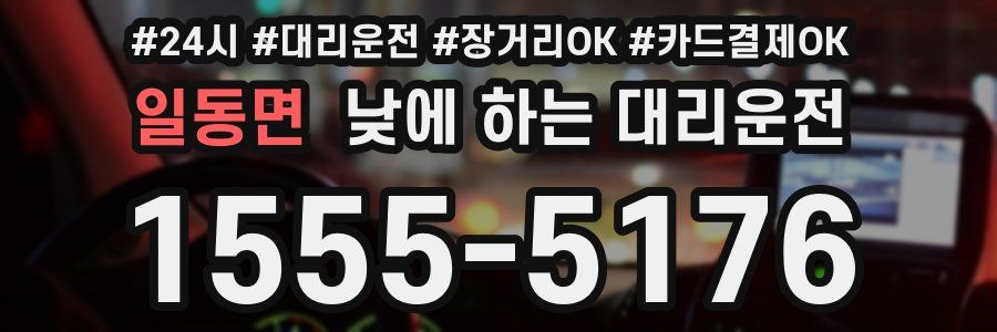 일동면 낮에 하는 대리운전
