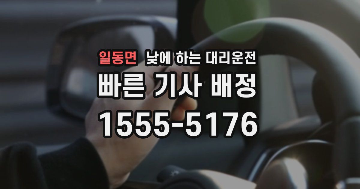 일동면 낮에 하는 대리운전