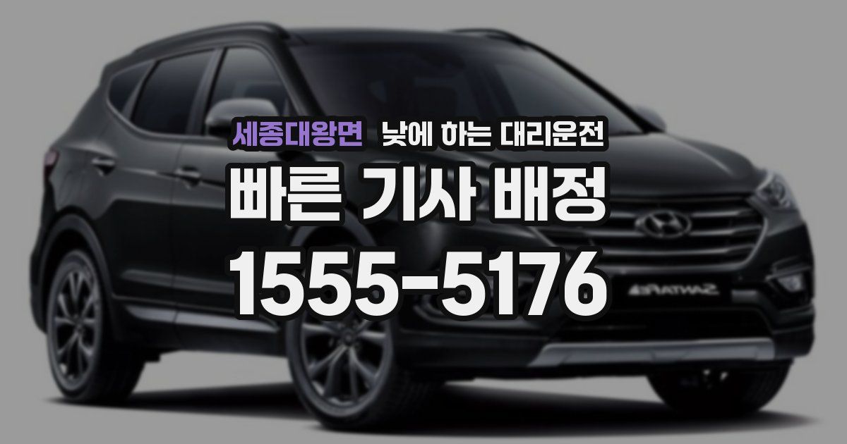 세종대왕면 낮에 하는 대리운전