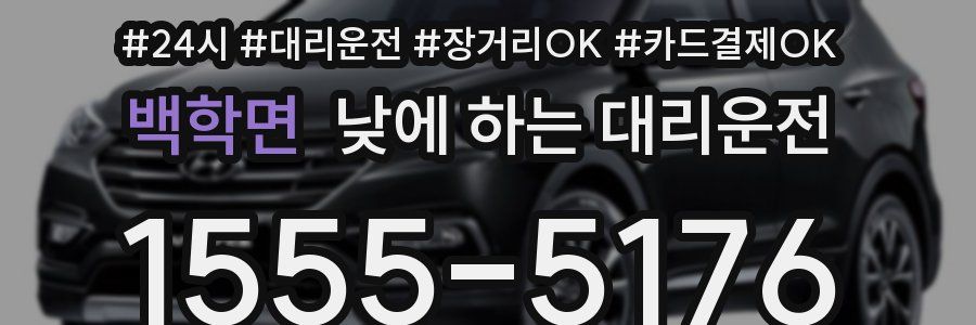 백학면 낮에 하는 대리운전