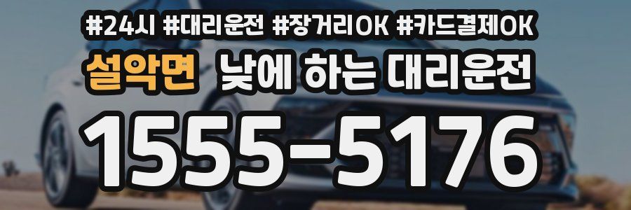 설악면 낮에 하는 대리운전