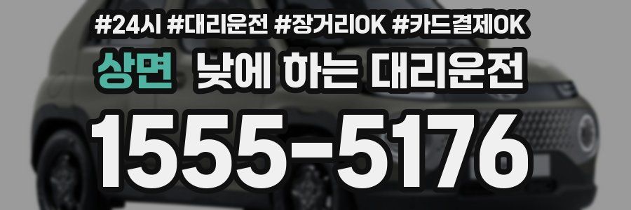 상면 낮에 하는 대리운전