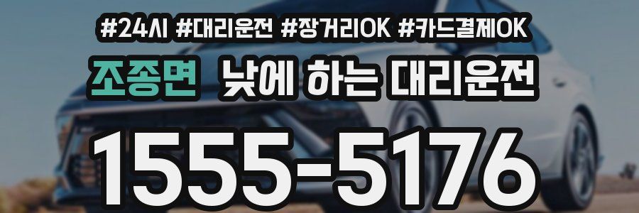 조종면 낮에 하는 대리운전