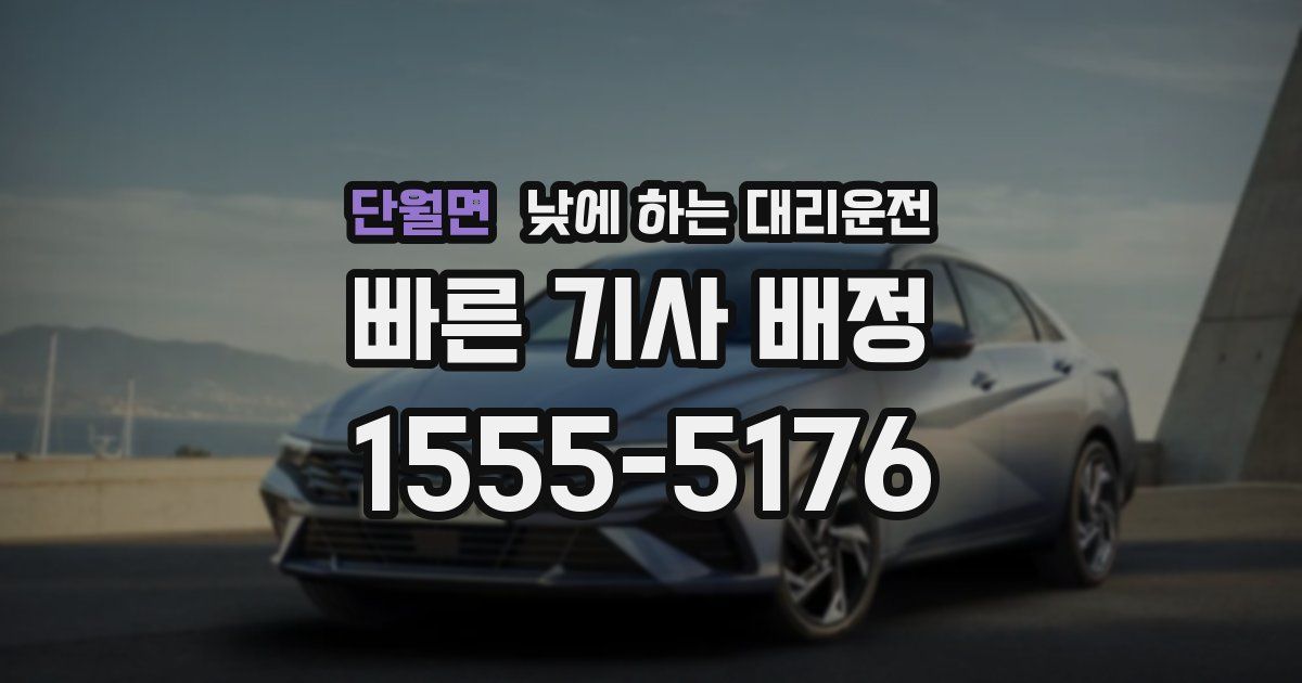 단월면 낮에 하는 대리운전