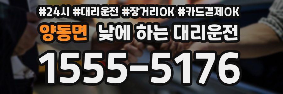 양동면 낮에 하는 대리운전
