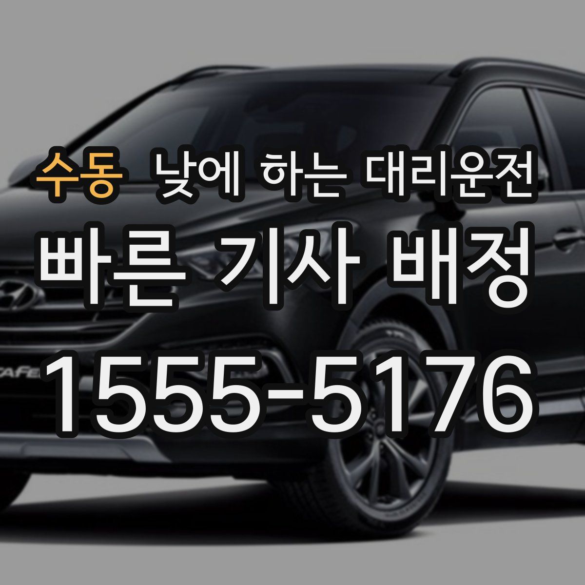 수동 낮에 하는 대리운전